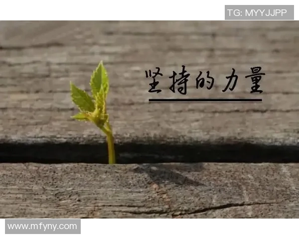 焦泊乔：在风云变幻的时代中追寻梦想与坚持的力量