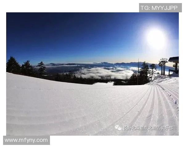 北海道勇士长野对决精彩纷呈赛季回顾与展望